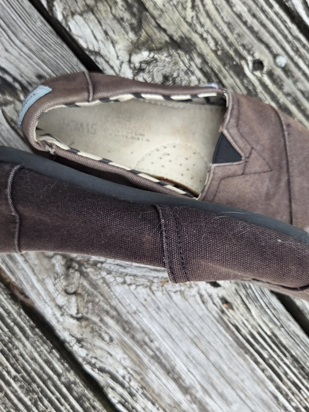 Toms Black Canvas